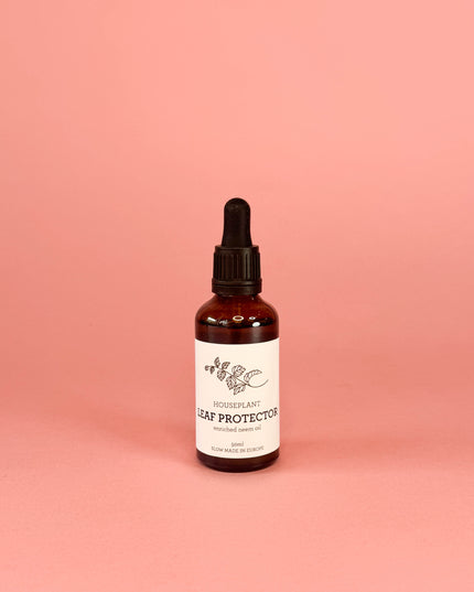 HOUSE PLANT LEAF PROTECTOR | Insecticida natural para plantas