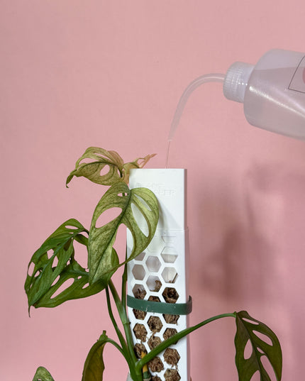 Dosificador de agua tutores PlantScraper