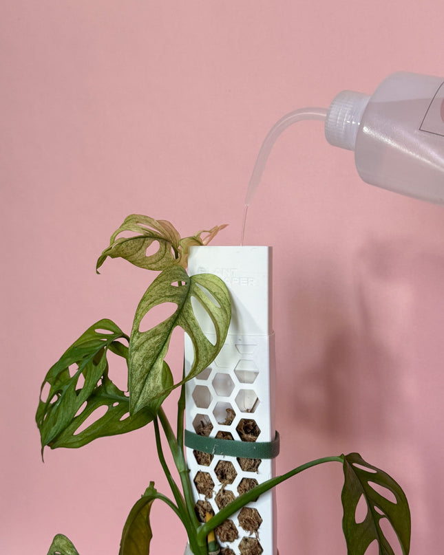 Dosificador de agua tutores PlantScraper
