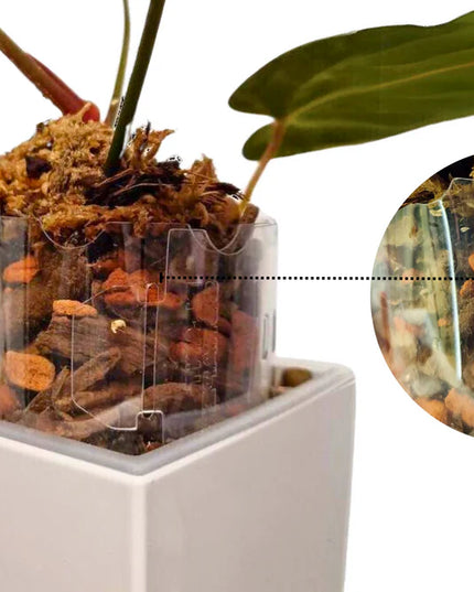 Extensor Macetas Crystal Clear PlantScraper